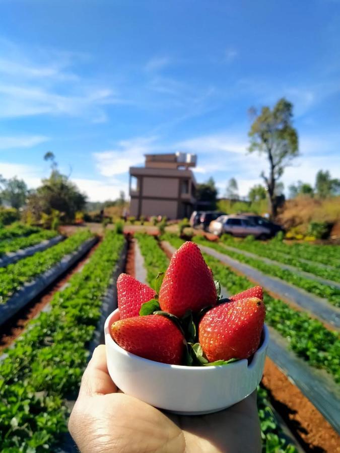 بانتشجانى Divine Resort - Mahabaleshwar المظهر الخارجي الصورة